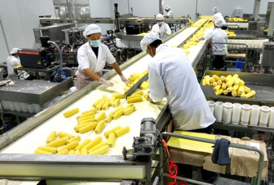 玉米华丽转身 引“岭”产业振兴——吉林省农嫂食品的乡村振兴实践